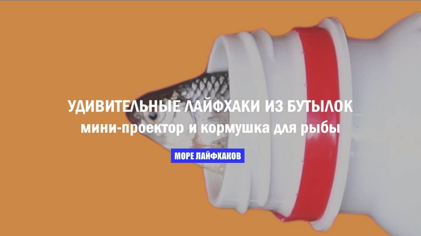 УДИВИТЕЛЬНЫЕ ЛАЙФХАКИ ИЗ БУТЫЛОК: мини-проектор, кормушка для рыбы и держатель для телефона.