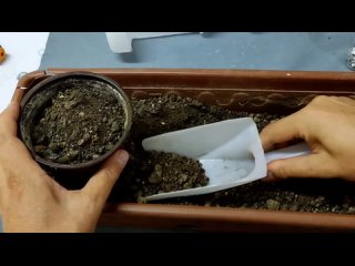 Ненужным пластиковым бутылкам вторую жизнь