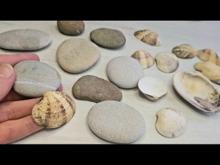 Декор из камней и ракушек своими руками