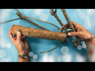 4 гениальные идеи из сухих веток и стволов для домашнего декора