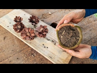 Идеи для декора из сосновых шишек своими руками