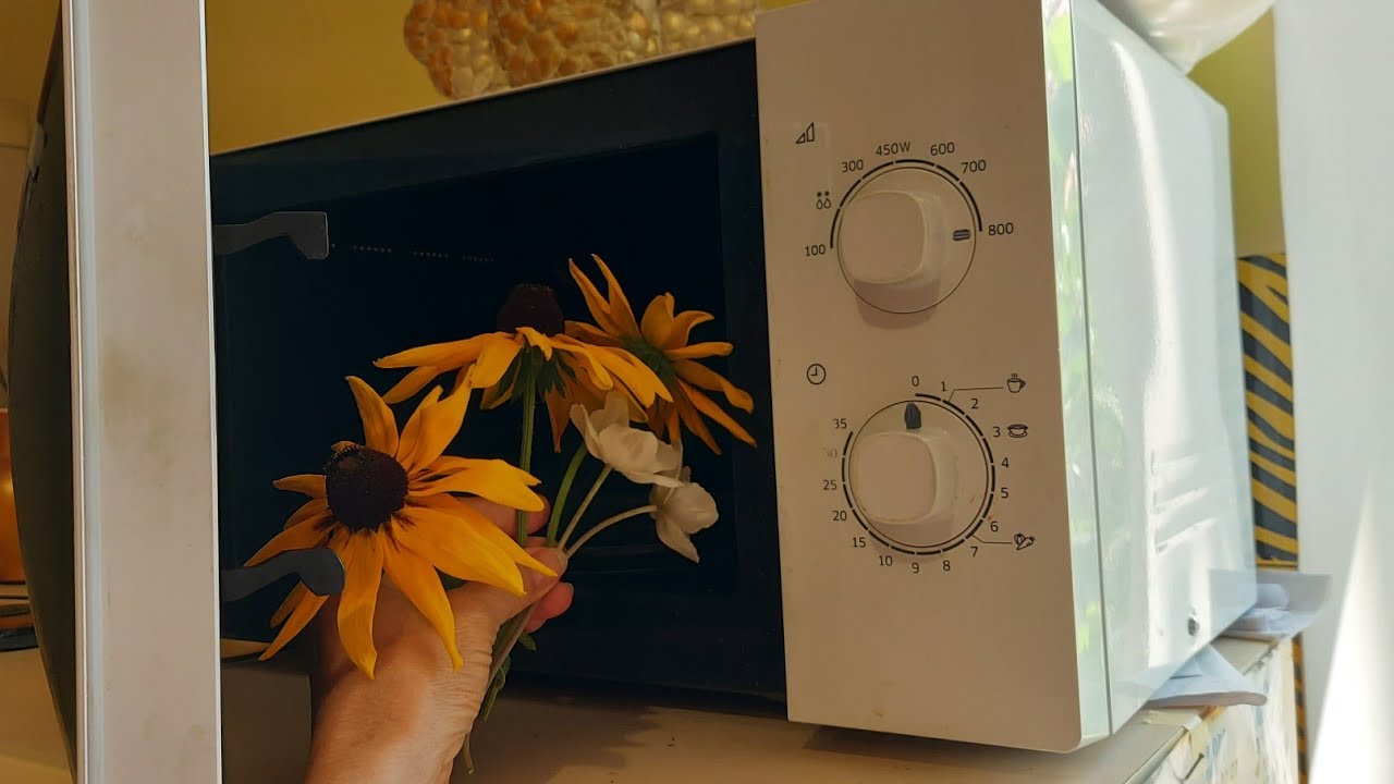 СМОТРИ САМ-СВОИМИ ГЛАЗАМИ!ОФИГЕННАЯ КРАСОТИЩА ИЗ МИКРОВОЛНОВОЙ ПЕЧИ! diy декор.сушка цветов-листьев