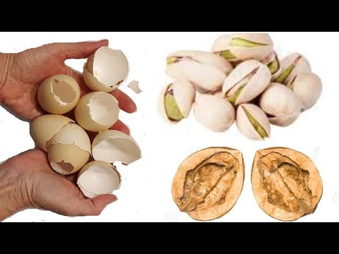 Собираю РАЗНУЮ СКОРЛУПУ и Заливаю КЛЕЕМ. Сама в ШОКЕ ! Смотри ДоКонца! DIY 3 супер идеи для дома