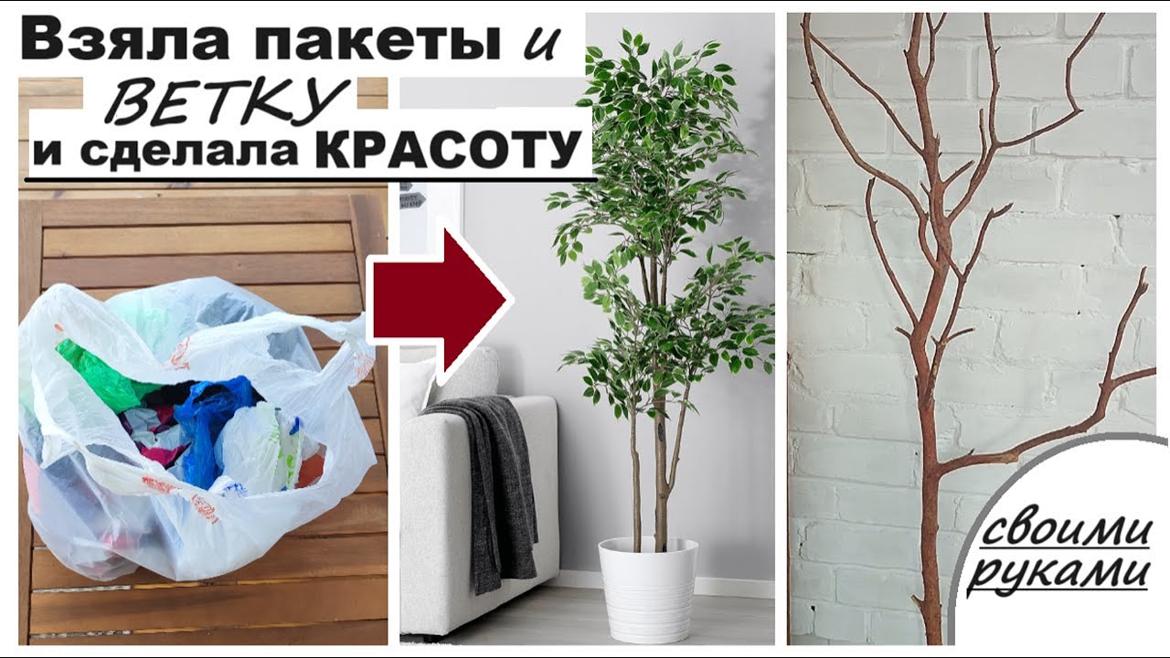 Взяла ВЕТКУ и ПАКЕТ с пакетами сделала красоту для дома СВОИМИ РУКАМИ Декоративный ФИКУС за копейки