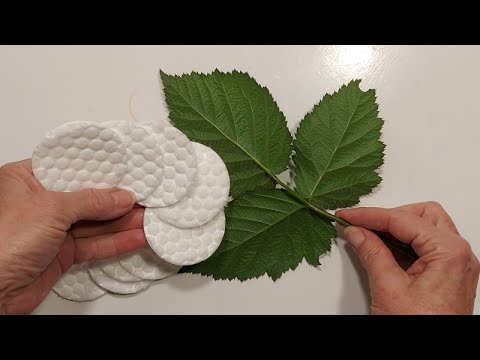 ТАКОГО ВЫ ТОЧНО ЕЩЕ НЕ ВИДЕЛИ ! Заливаю КЛЕЕМ ВАТНЫЕ ДИСКИ+ЛИСТЬЯ+ЯЙЦА) DIY пасха.красим яйца.декор