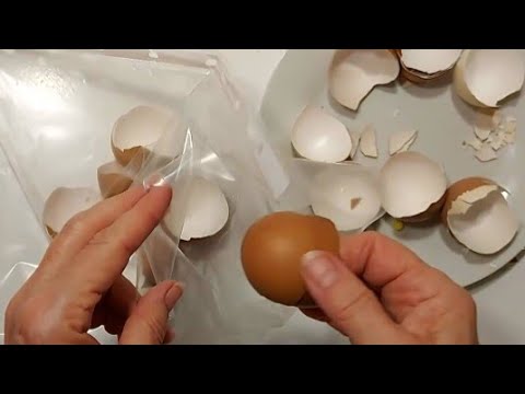 Так БЕСПОДОБНО из обычной ЯИЧНОЙ СКОРЛУПЫ своими руками ! Посмотри Сам! ПоделкикПасхе diy декор.идеи