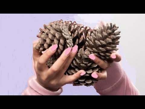 Такая КРАСОТИЩА из обычных сосновых Шишек и Горячего клея своими руками! Посмотри сам! #diy идеидома