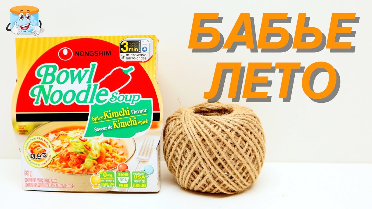 Съела лапшу и сделала декоративное панно Бабье Лето своими руками Осенние поделки