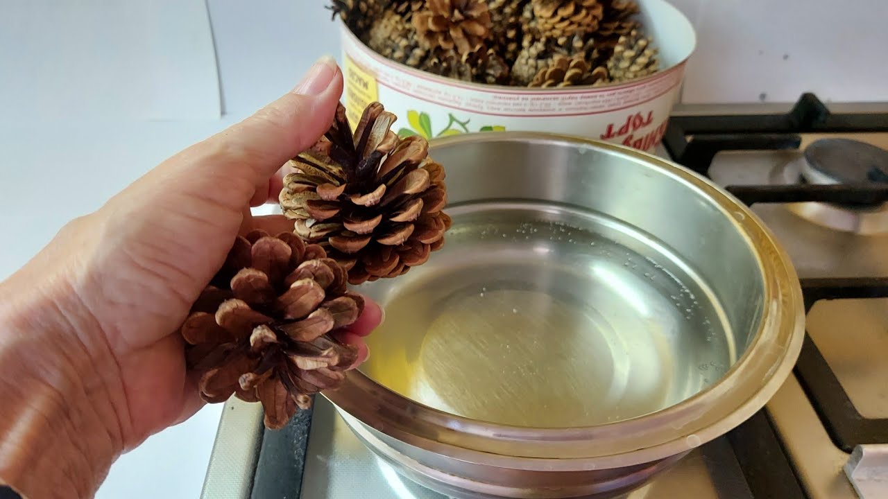 Такая КРАСОТИЩА из обычных ШИШЕК КОЛЕЦ и КРАСКИ своими руками! ПосмотриCам! Поделки к дню матери DIY